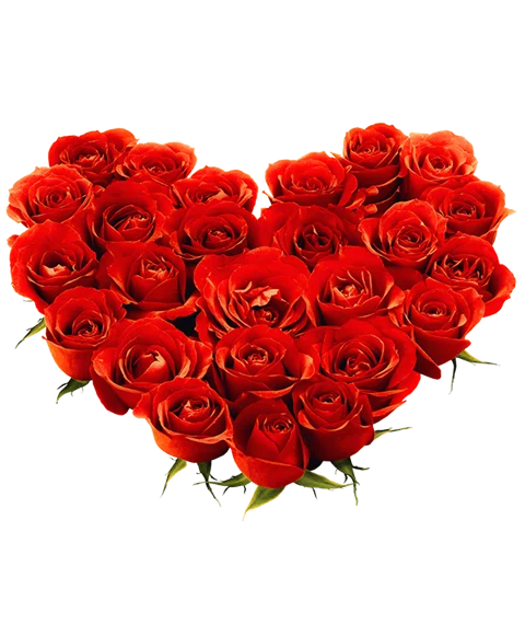 Consegna fiori San Valentino a Roma - Cuore di rose rosse